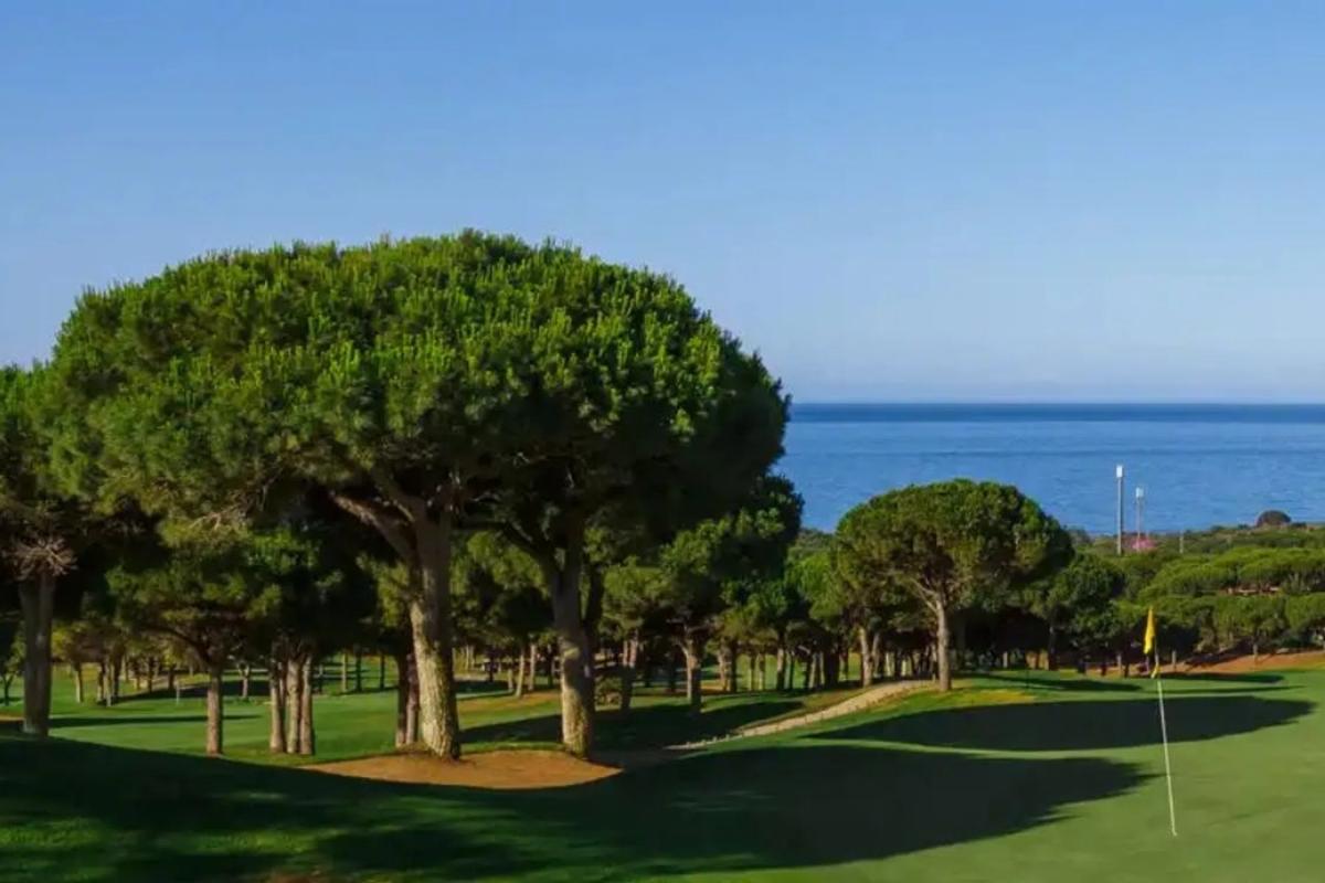 Działka na sprzedaż w Marbella, Malaga photo 2
