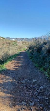Terreno en Cortijo el Casino photo 1