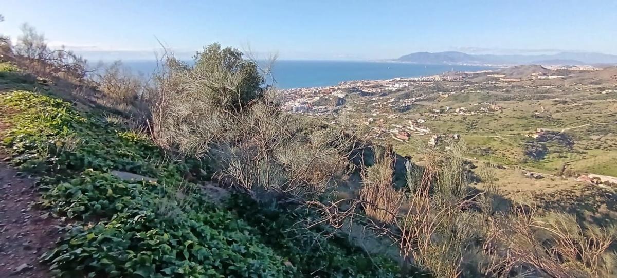 Land for sale in Rincón de la Victoria, Malaga photo 3