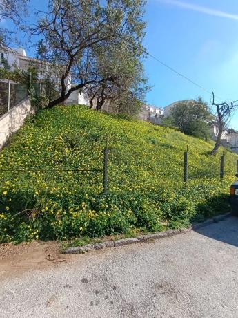 Terreno en calle Dulce Oscuro, 6 thumbnail 1