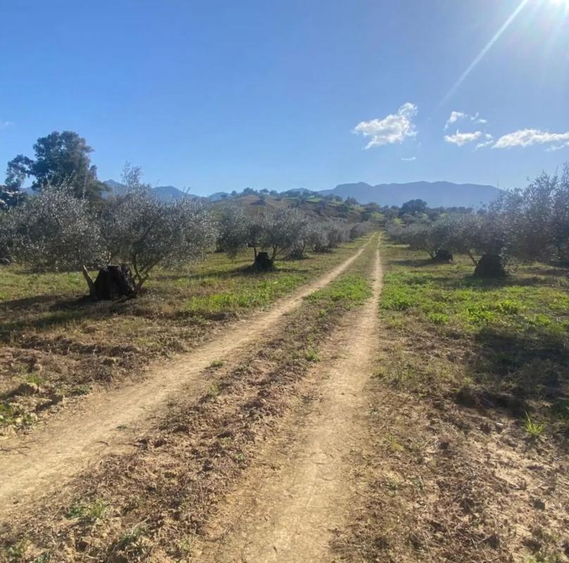 Terreno en venta en Alhaurín el Grande, Malaga photo 1