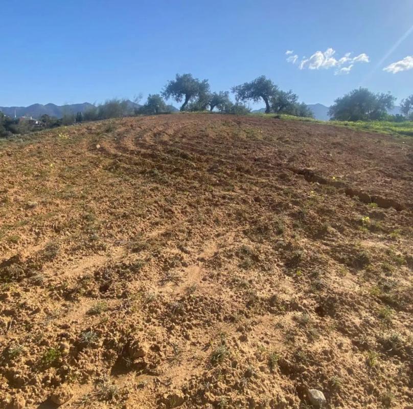 Terreno en venta en Alhaurín el Grande, Malaga photo 2