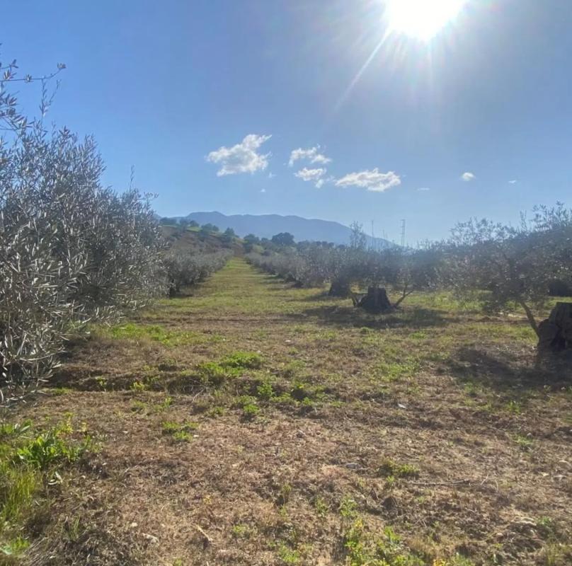Terreno en venta en Alhaurín el Grande, Malaga photo 5