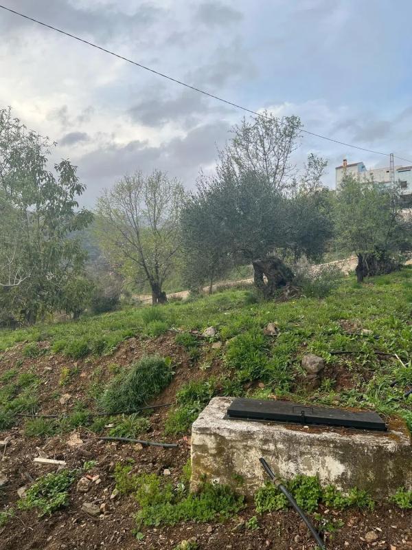 Land for sale in Juzcar, Malaga photo 3
