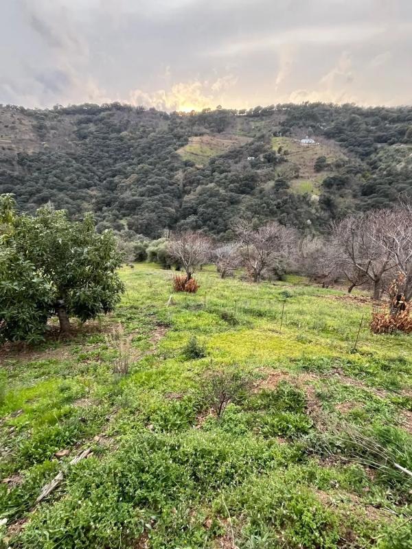 Land for sale in Juzcar, Malaga photo 4