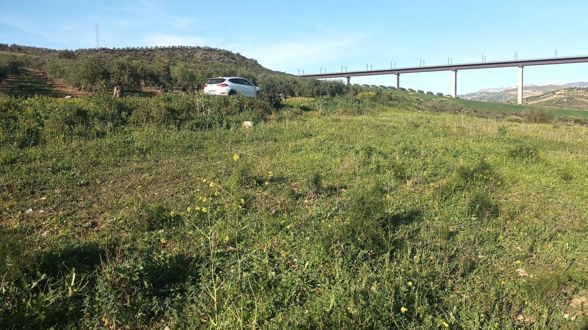 Land for sale in Alora, Malaga photo 1