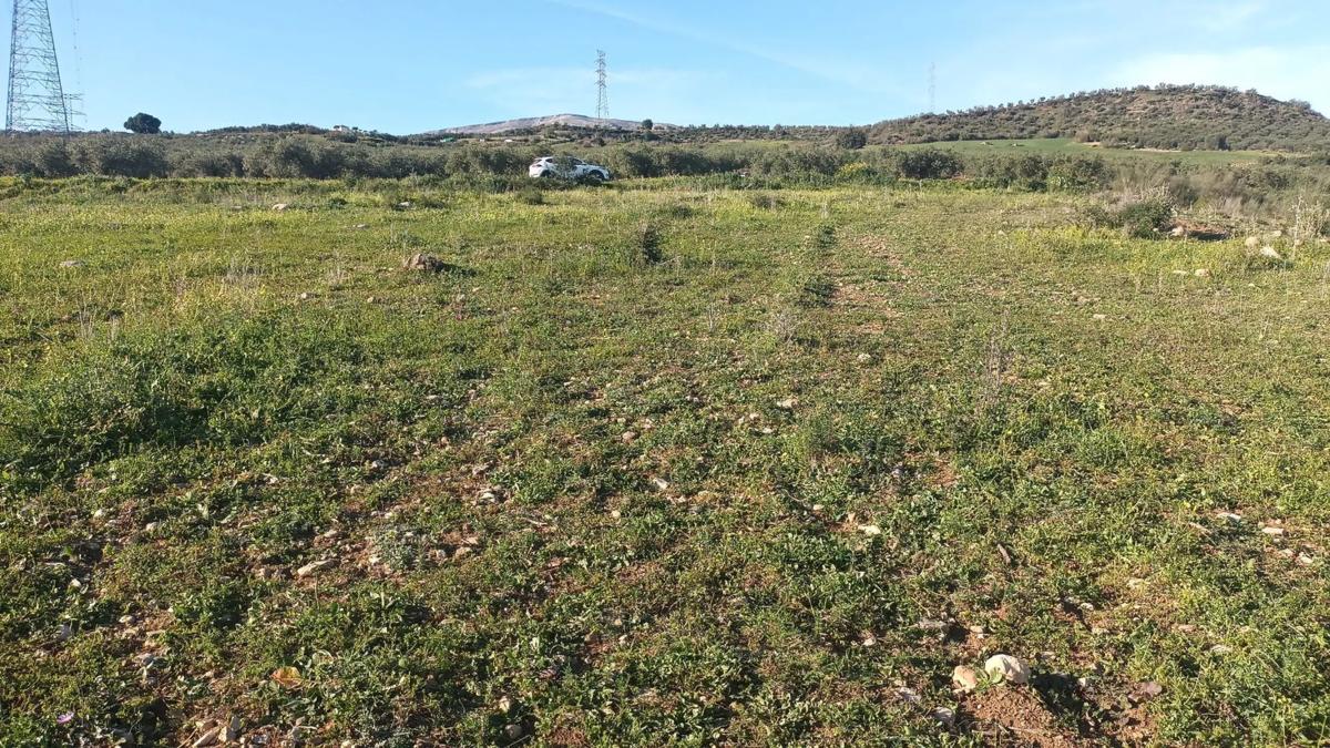 Land for sale in Alora, Malaga photo 2