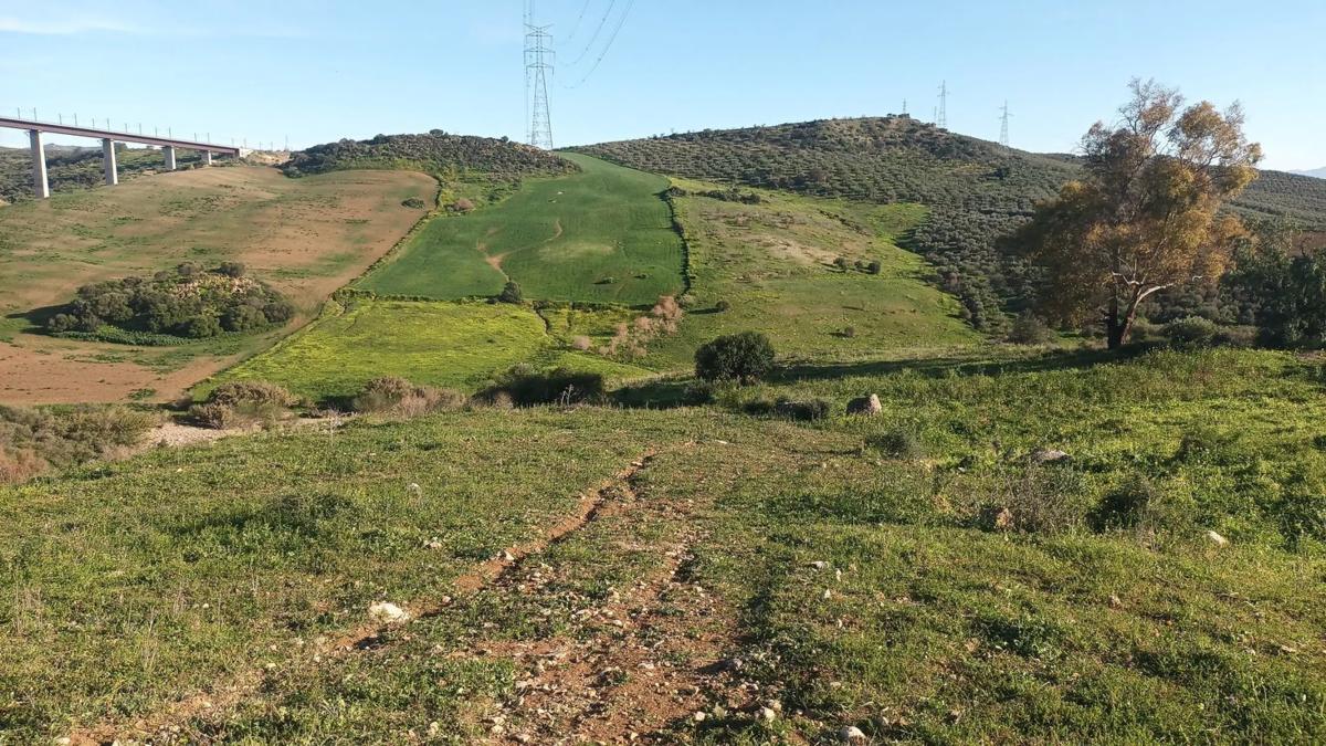 Land for sale in Alora, Malaga photo 3