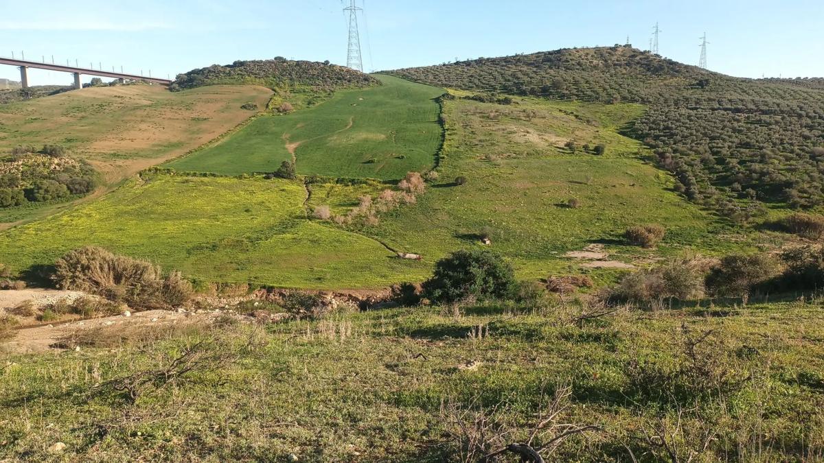 Land for sale in Alora, Malaga photo 5