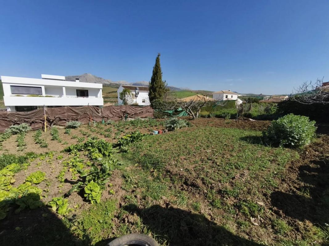Terreno en venta en Casabermeja, Malaga photo 2