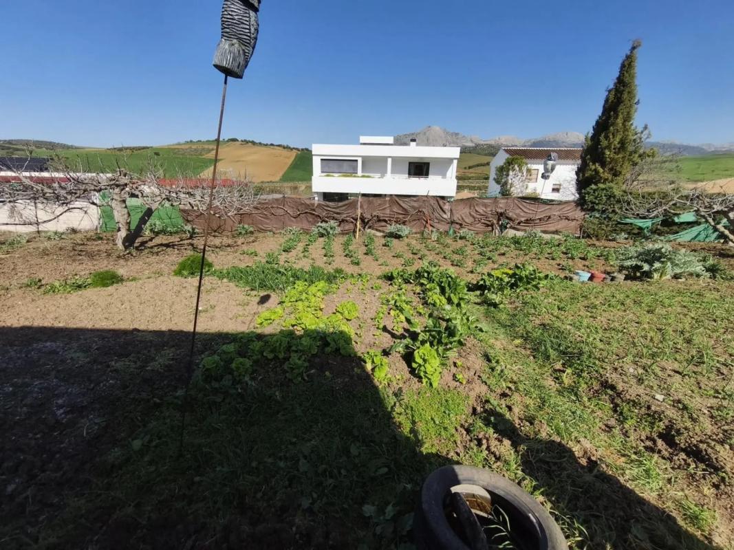 Terreno en venta en Casabermeja, Malaga photo 3