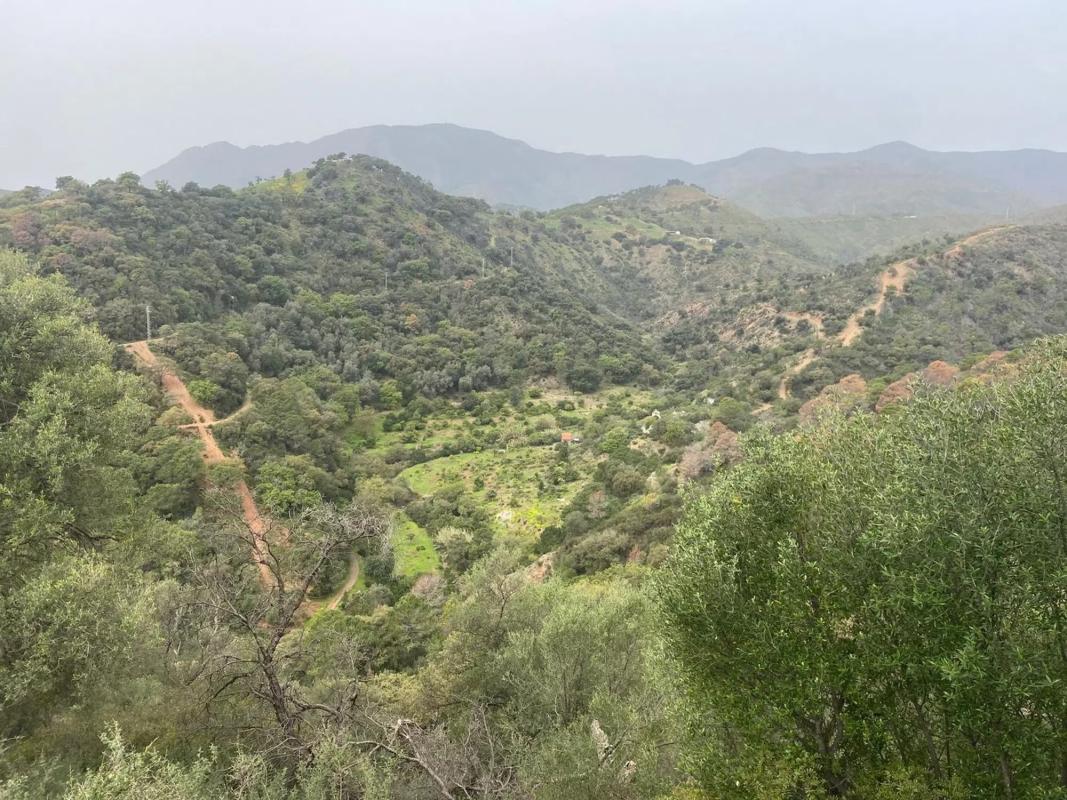 Działka na sprzedaż w Estepona, Malaga photo 1