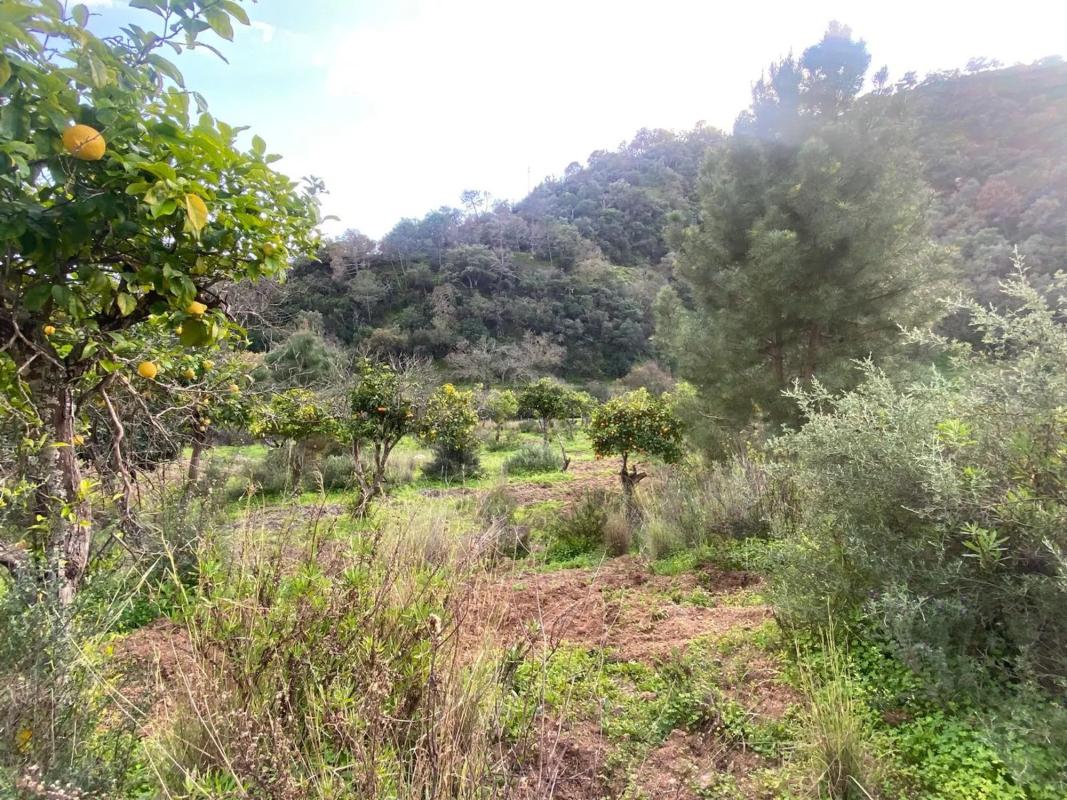 Działka na sprzedaż w Estepona, Malaga photo 2