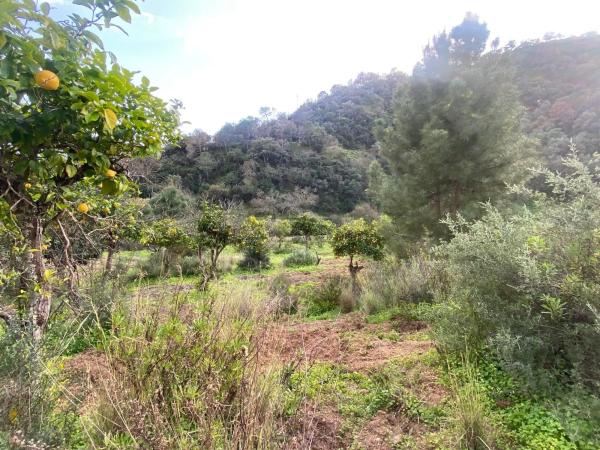Terreno en camino Elisabeth Burca s/n photo 2