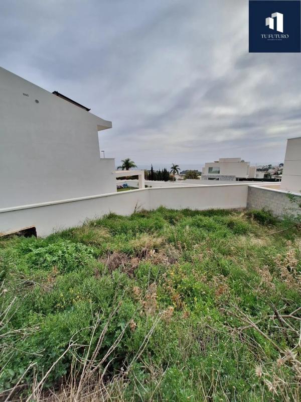 Land for sale in Nerja, Malaga photo 5