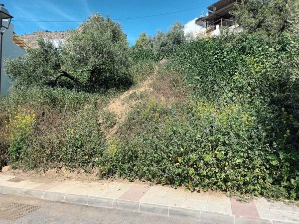 Terreno en calle Santa Argéntea, 706 thumbnail 1