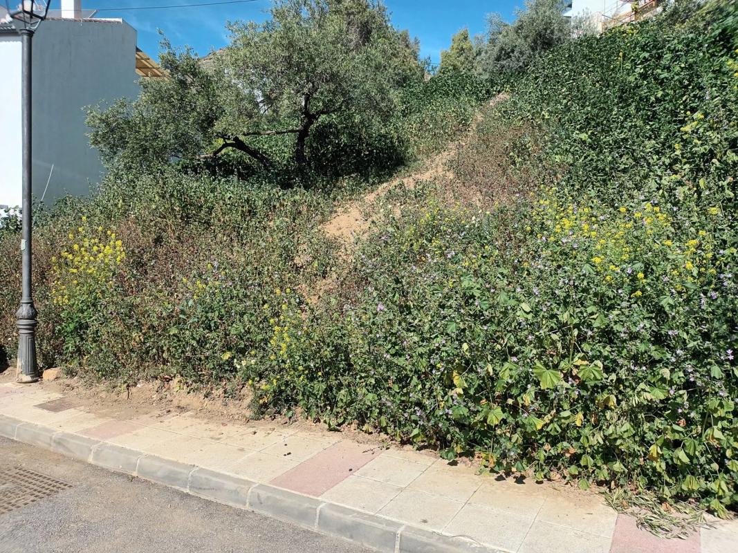 Działka na sprzedaż w Alora, Malaga photo 3