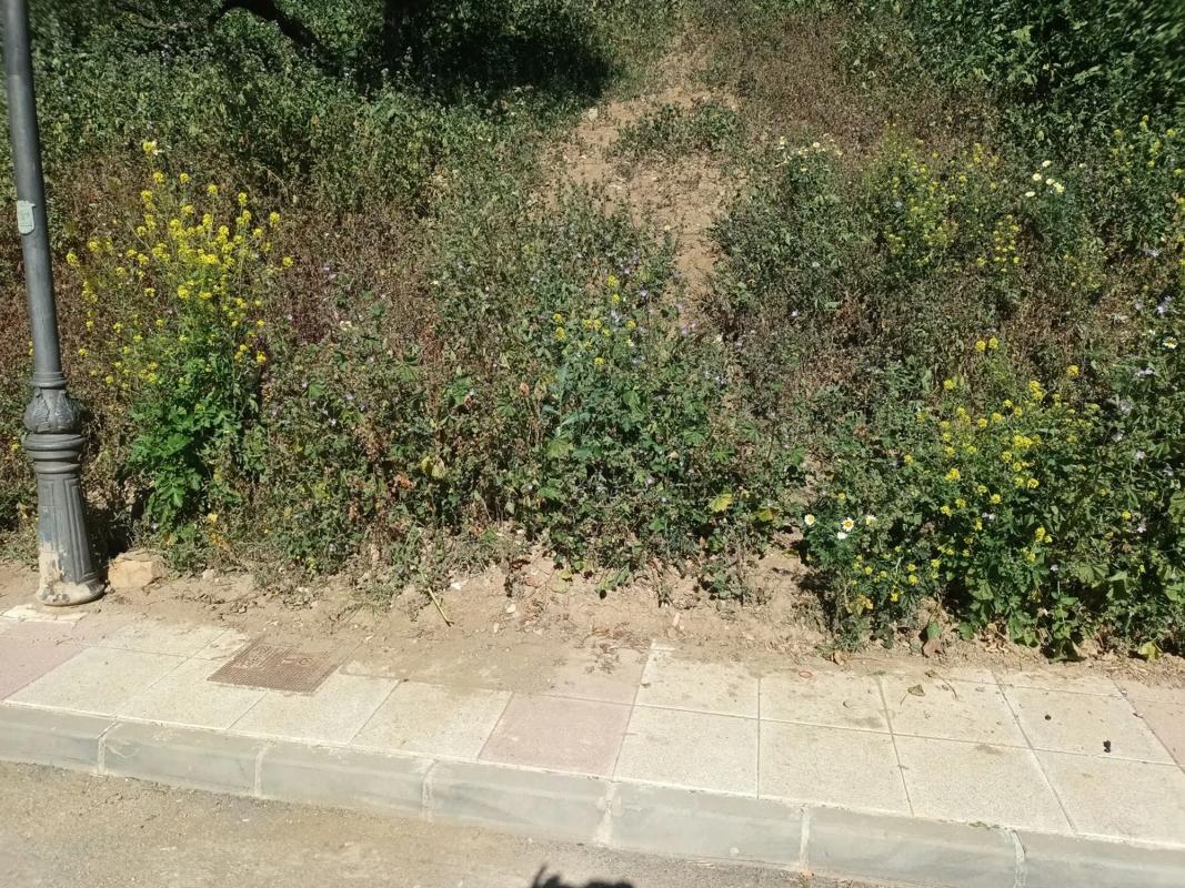 Działka na sprzedaż w Alora, Malaga photo 4