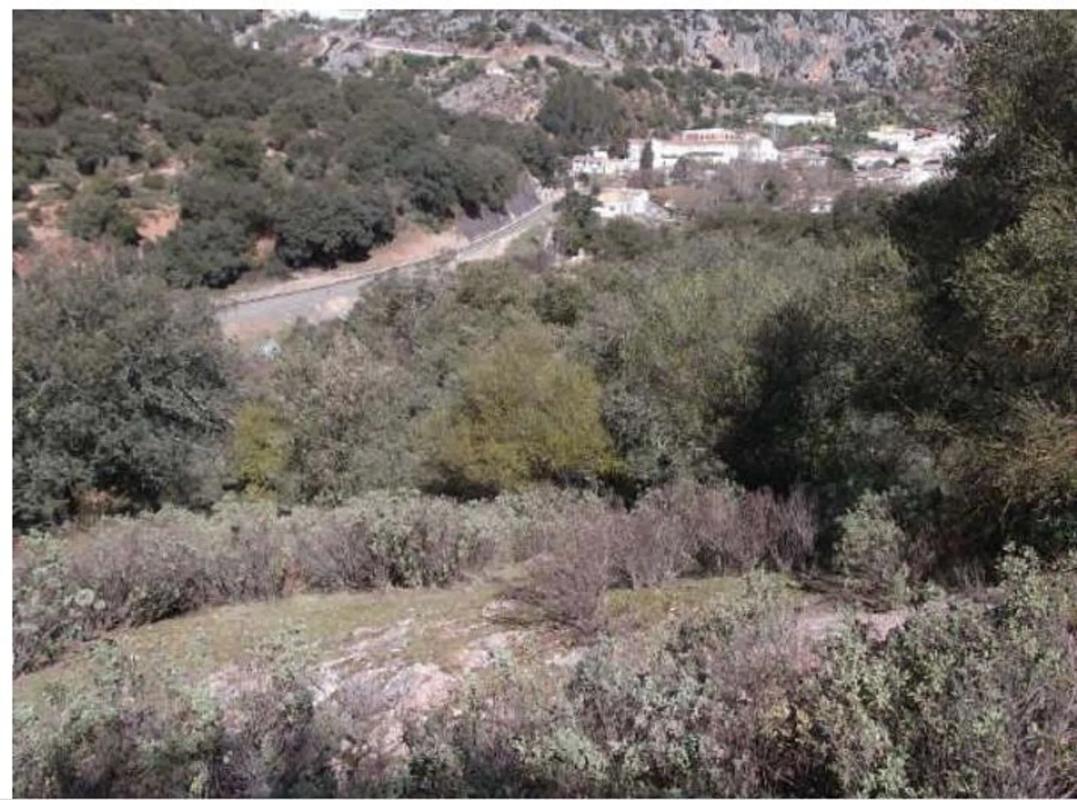 Terreno en venta en Benaojan, Malaga photo 1