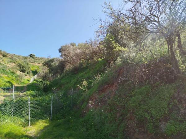 Terreno en finca la parra y la victoria s/n thumbnail 1