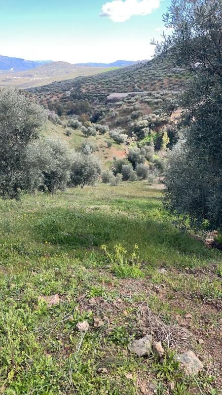 Terreno en venta en Viñuela, Malaga photo 1