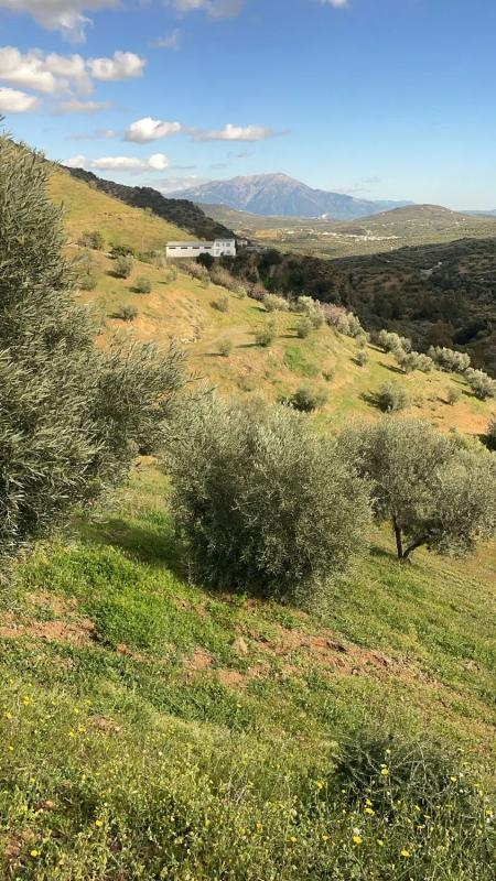 Terreno en venta en Viñuela, Malaga photo 2