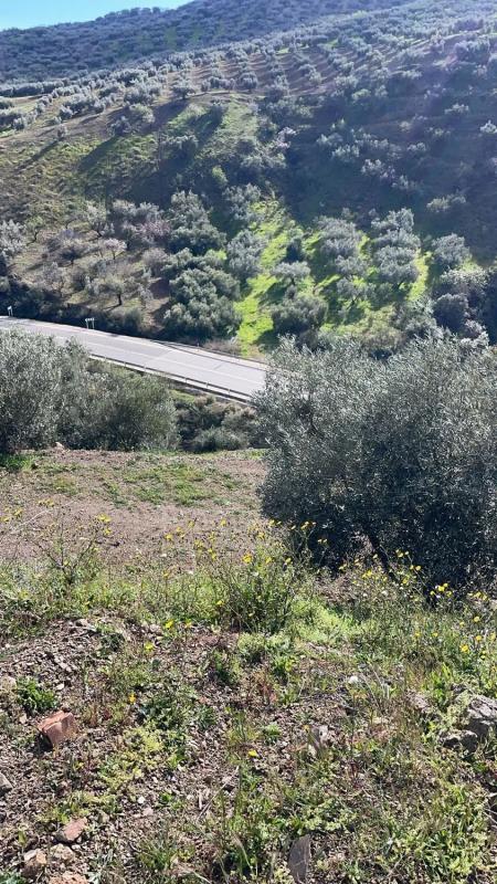 Terreno en venta en Viñuela, Malaga photo 3