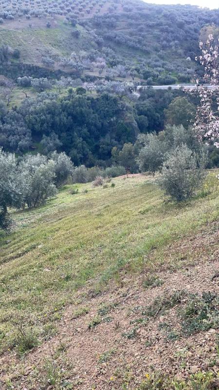 Terreno en venta en Viñuela, Malaga photo 4