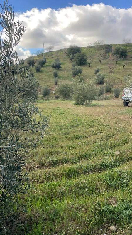 Terreno en venta en Viñuela, Malaga photo 5