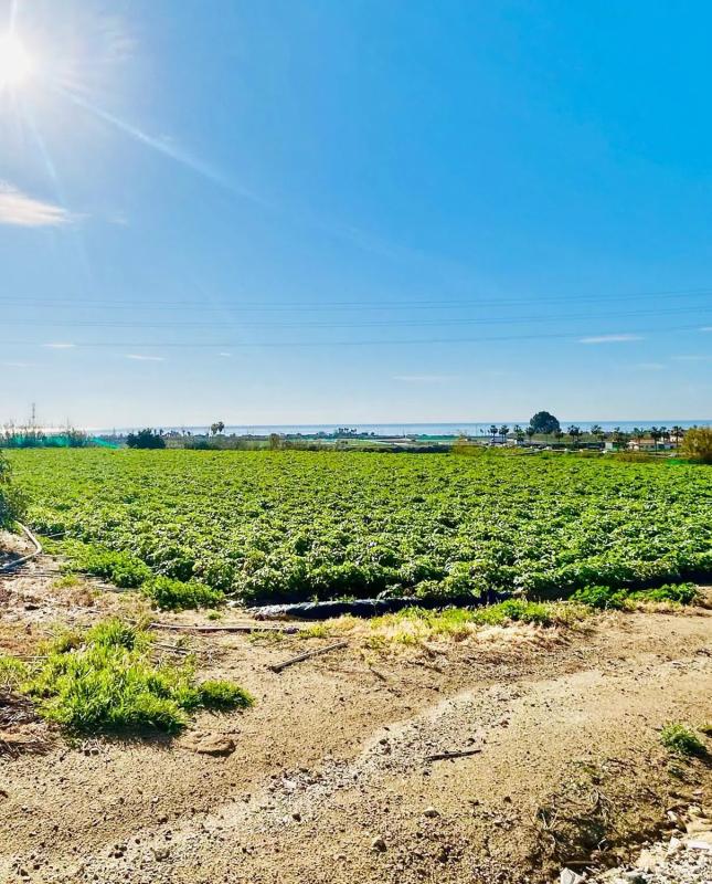 Land for sale in Almayate Bajo, Malaga photo 1