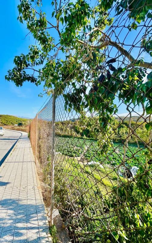 Land for sale in Almayate Bajo, Malaga photo 2