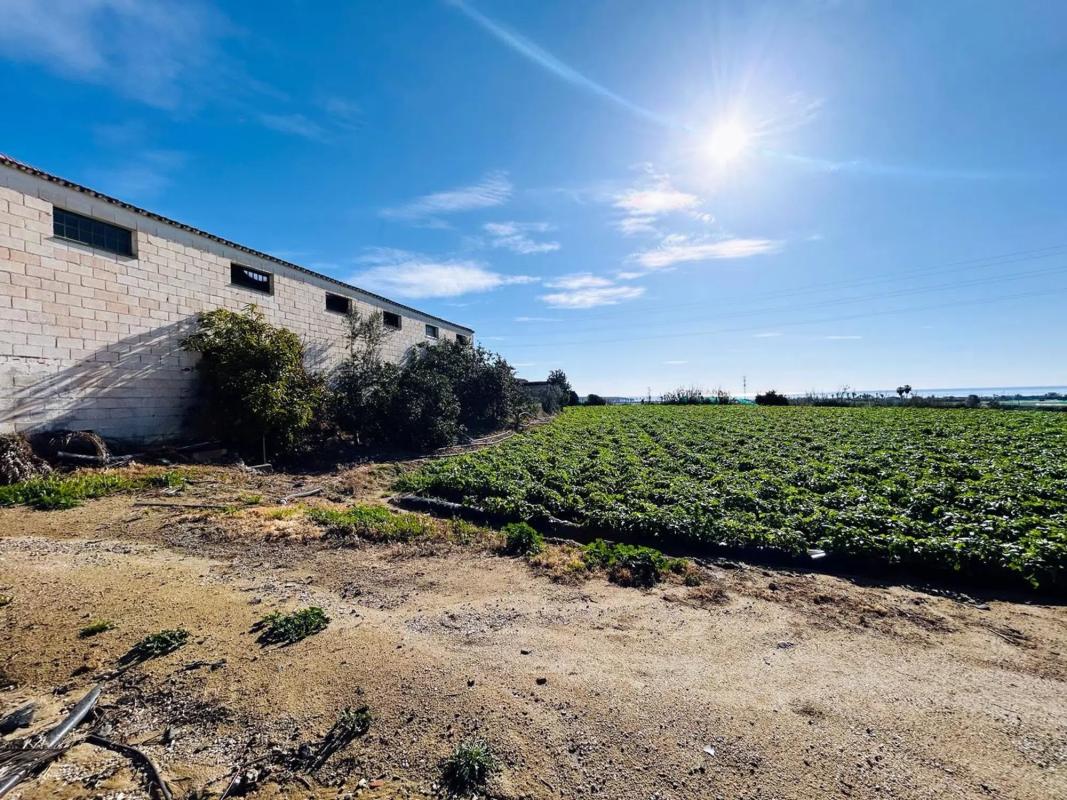 Land for sale in Almayate Bajo, Malaga photo 4