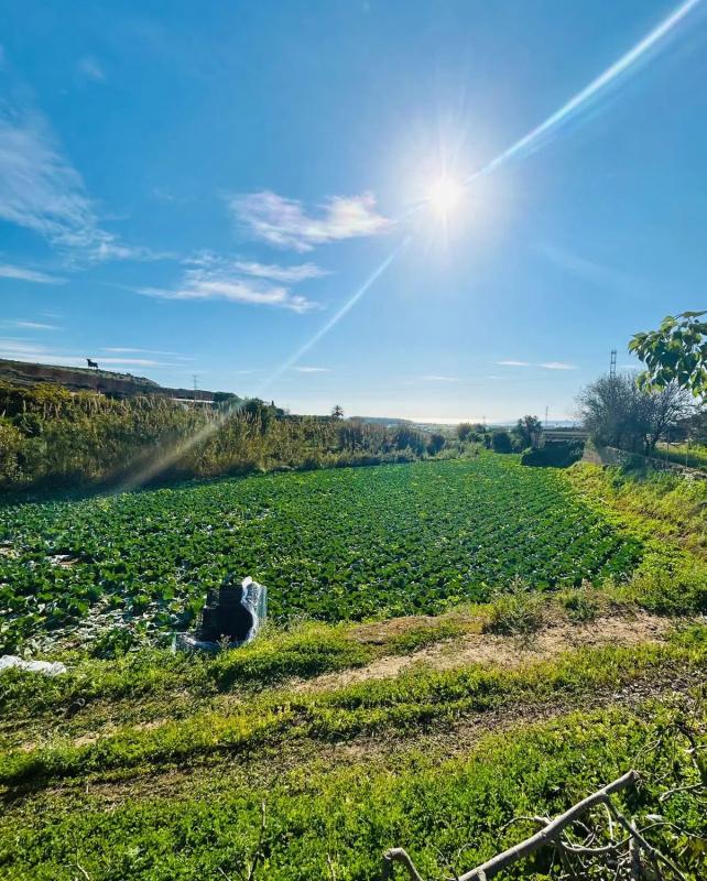 Land for sale in Almayate Bajo, Malaga photo 5