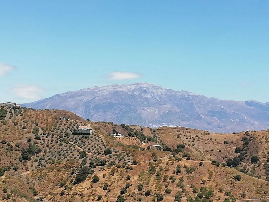 Terreno en venta en Moclinejo, Malaga photo 5