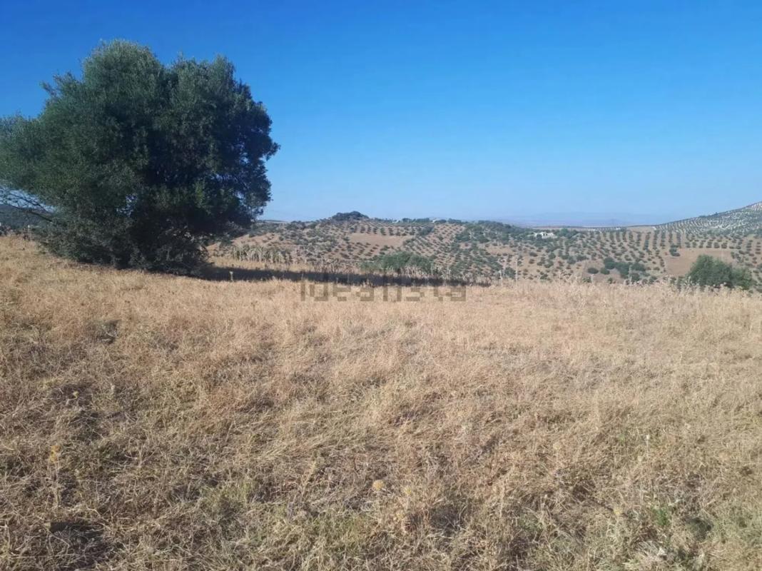 Działka na sprzedaż w Tolox, Malaga photo 1