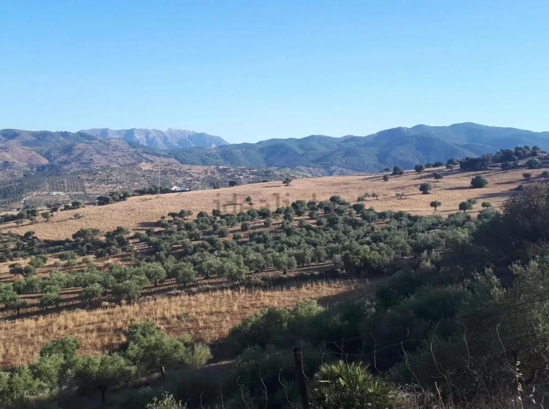 Działka na sprzedaż w Tolox, Malaga photo 3