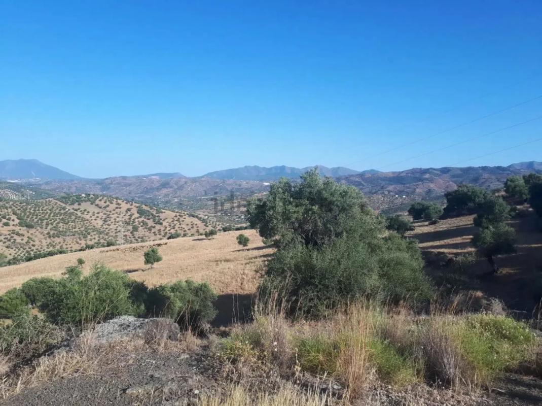 Działka na sprzedaż w Tolox, Malaga photo 4