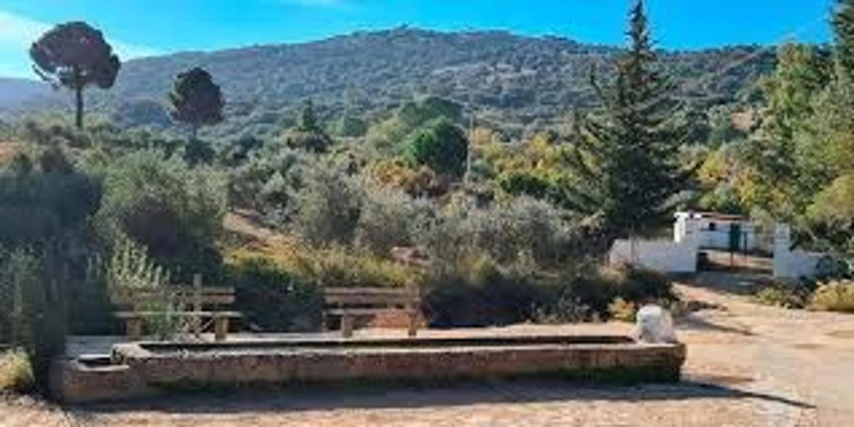 Terreno en venta en Ronda, Malaga photo 4