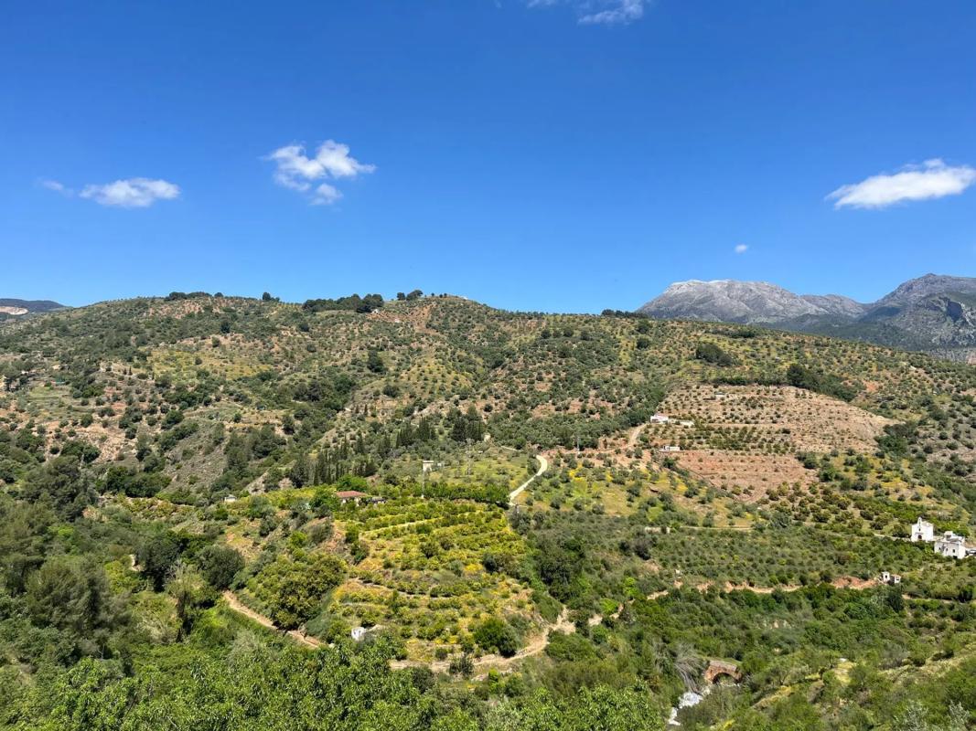 Terreno en venta en Tolox, Malaga photo 3