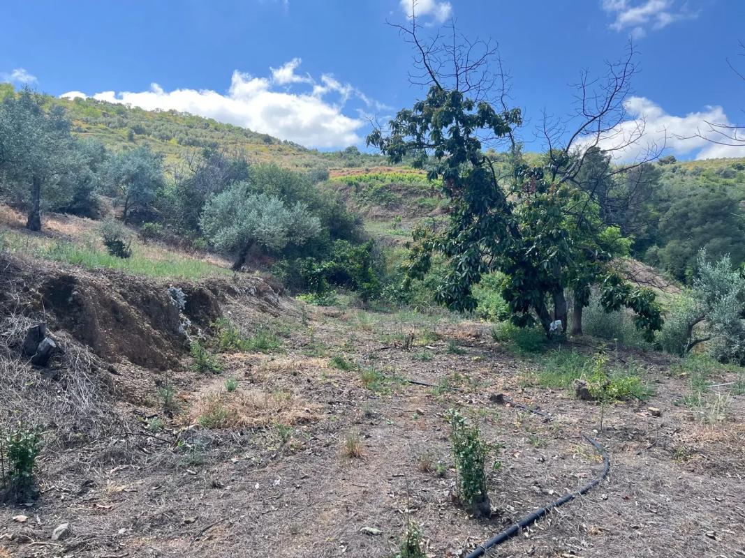 Terreno en venta en Tolox, Malaga photo 4
