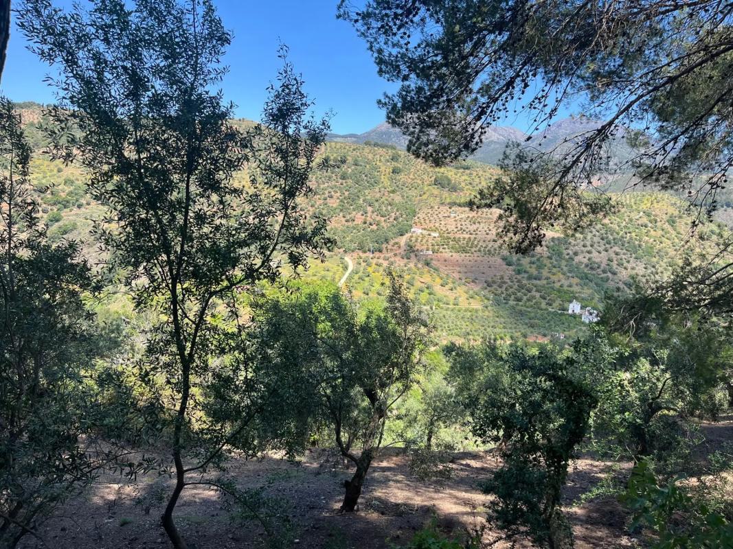 Terreno en venta en Tolox, Malaga photo 5