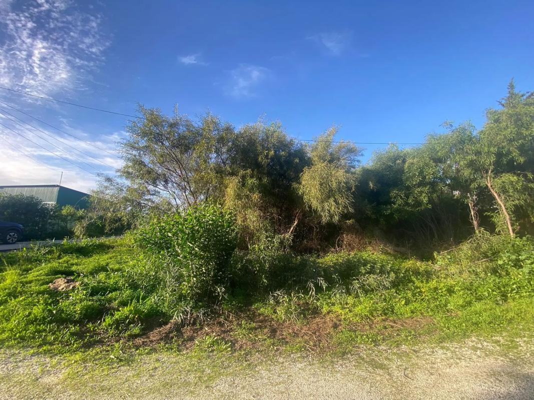 Działka na sprzedaż w Estepona, Malaga photo 3