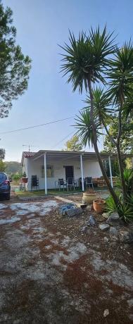 Terreno en camino de la Alpujata photo 4