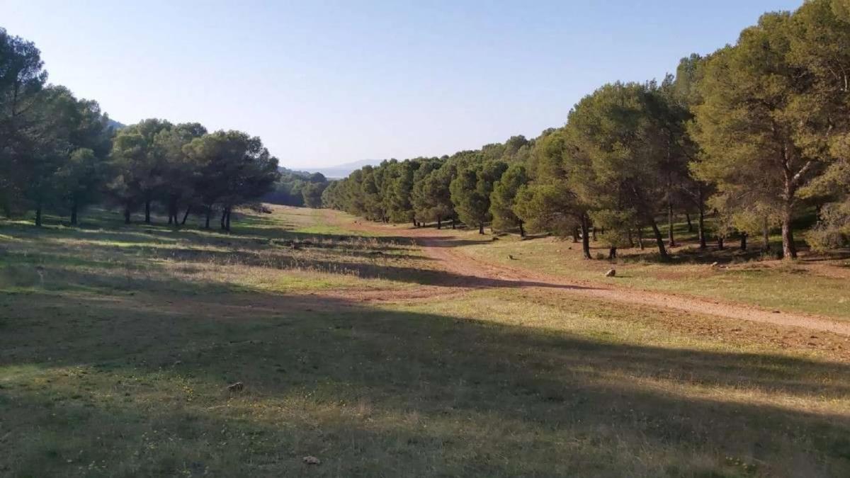 Terreno en venta en Humilladero, Malaga photo 1