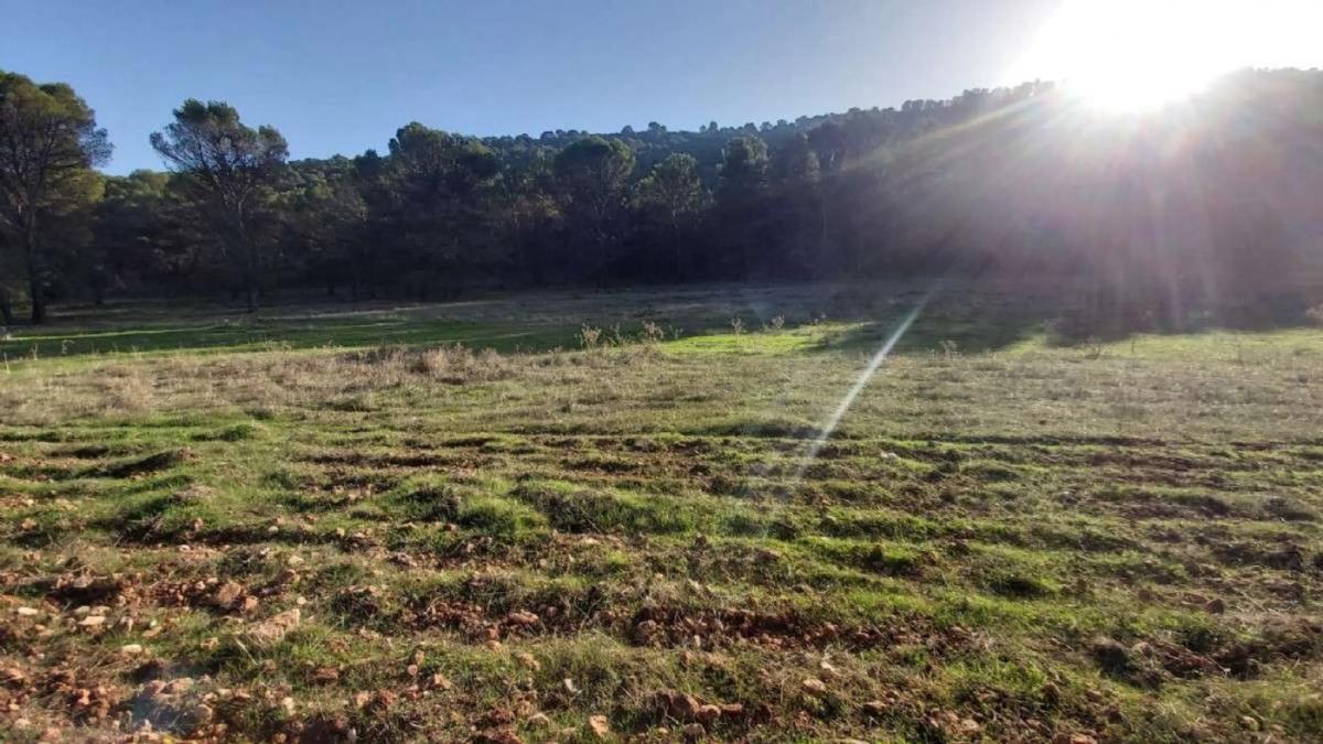 Terreno en venta en Humilladero, Malaga photo 2