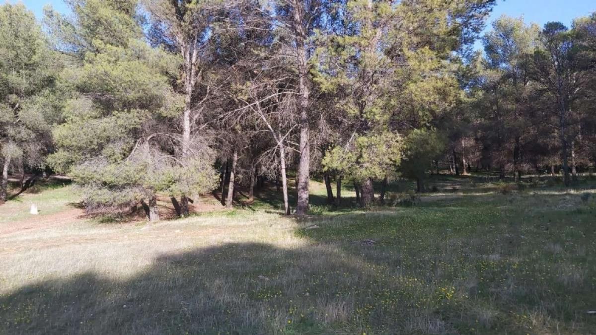 Terreno en venta en Humilladero, Malaga photo 5
