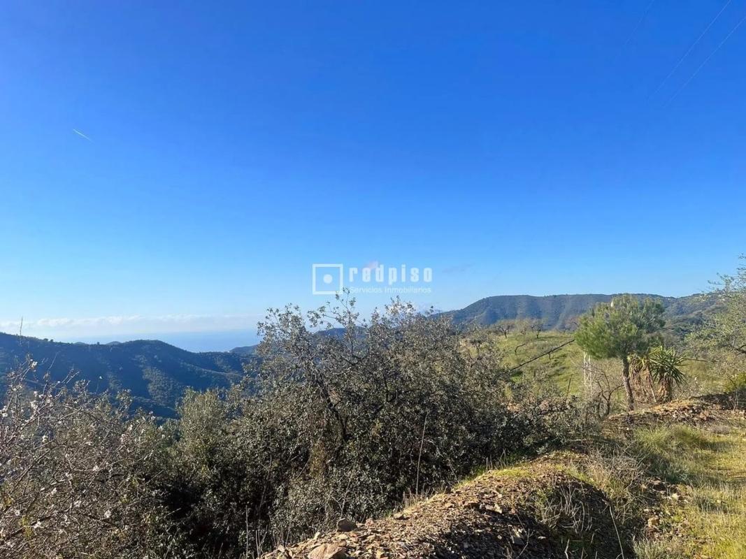 Terreno en venta en Málaga, Malaga photo 5
