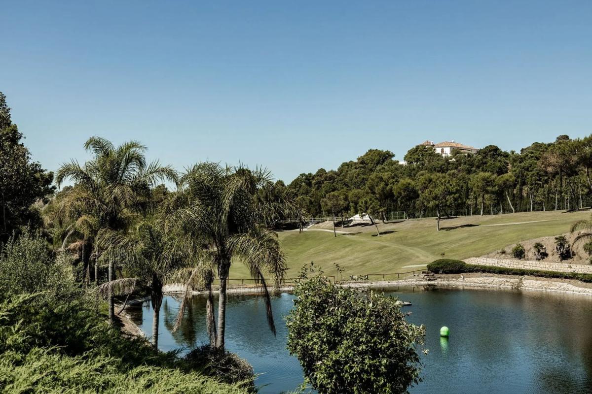 Terreno en venta en Benahavís, Malaga photo 2