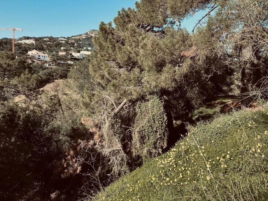 Terreno en venta en Benahavís, Malaga photo 5