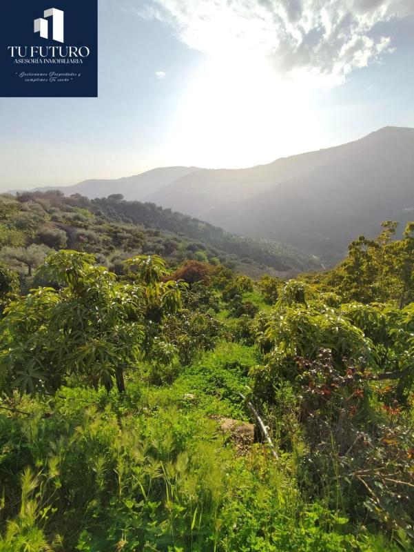 Działka na sprzedaż w Torrox, Malaga photo 2